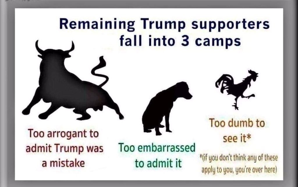 ansue67's tweet photo. @timburchett Which one are you? #TrumpsOrders #iherebyorder #25thisFruitLoop https://t.co/zDs2IWbAYj