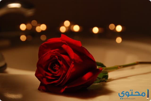 цветы сердечки. романтическая розы. романтичный букет цветов. романтическая розы. романтическая розы.