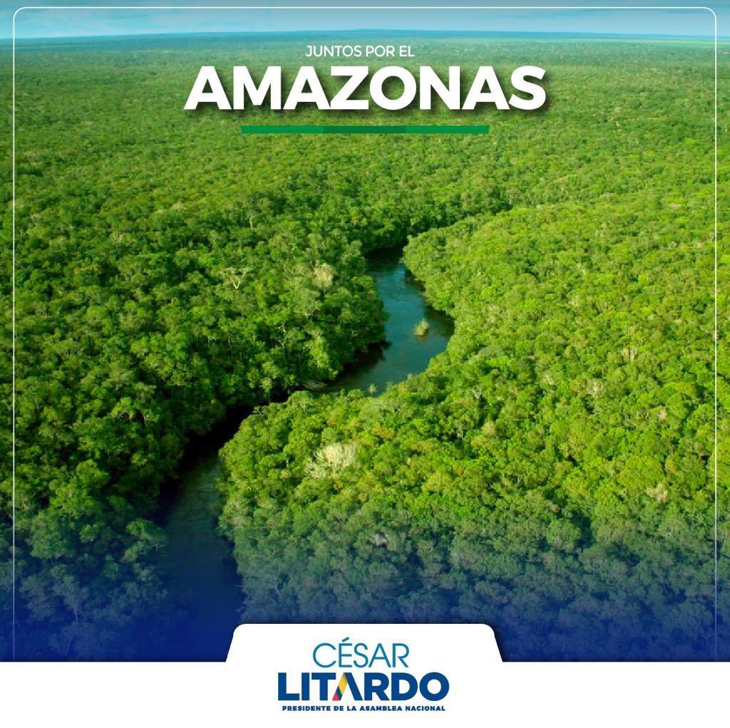 cesarlitardo's tweet photo. Nuestra selva amazónica se está destruyendo. El Amazonas es el pulmón del planeta y representa el 20% del oxígeno del mundo. ¡Se está quemando nuestra vida!
JUNTOS debemos proteger #ELAmazonas. 🌲🌿🐒🕊🐿 https://t.co/9xkjaJOd9D