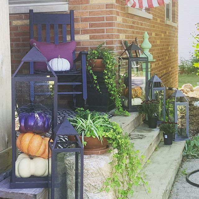 RusticanRefined's tweet photo. #fallporchdecor #indianagarden #gardening #gardenista #gardenlife๐ฑ #fall https://t.co/pKgOJ8PTue https://t.co/QbSwrXuF0L