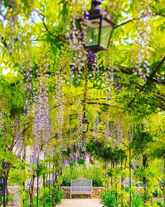 Moment de calme dans le jardin du Château de Berne. 
Moment of calm in the garden of Château de Berne.
•
#ChateauDeBerne #RelaisChateaux #Vineyard #Hotel #Hospitality #Lorgues #Flayosc #Provence #ArtDeVivre #WineLover #Provence #Foodies #MichelinRest… ift.tt/2Hnbgmv