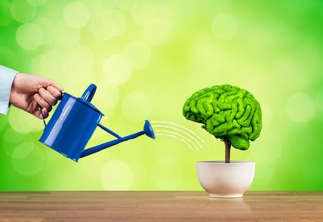 StartupAssur's tweet photo. 11 astuces pour éviter les trous de mémoire du quotidien. 🤔 #Mémoire https://t.co/dwF3MYiupN https://t.co/4fUnVxJCTj
