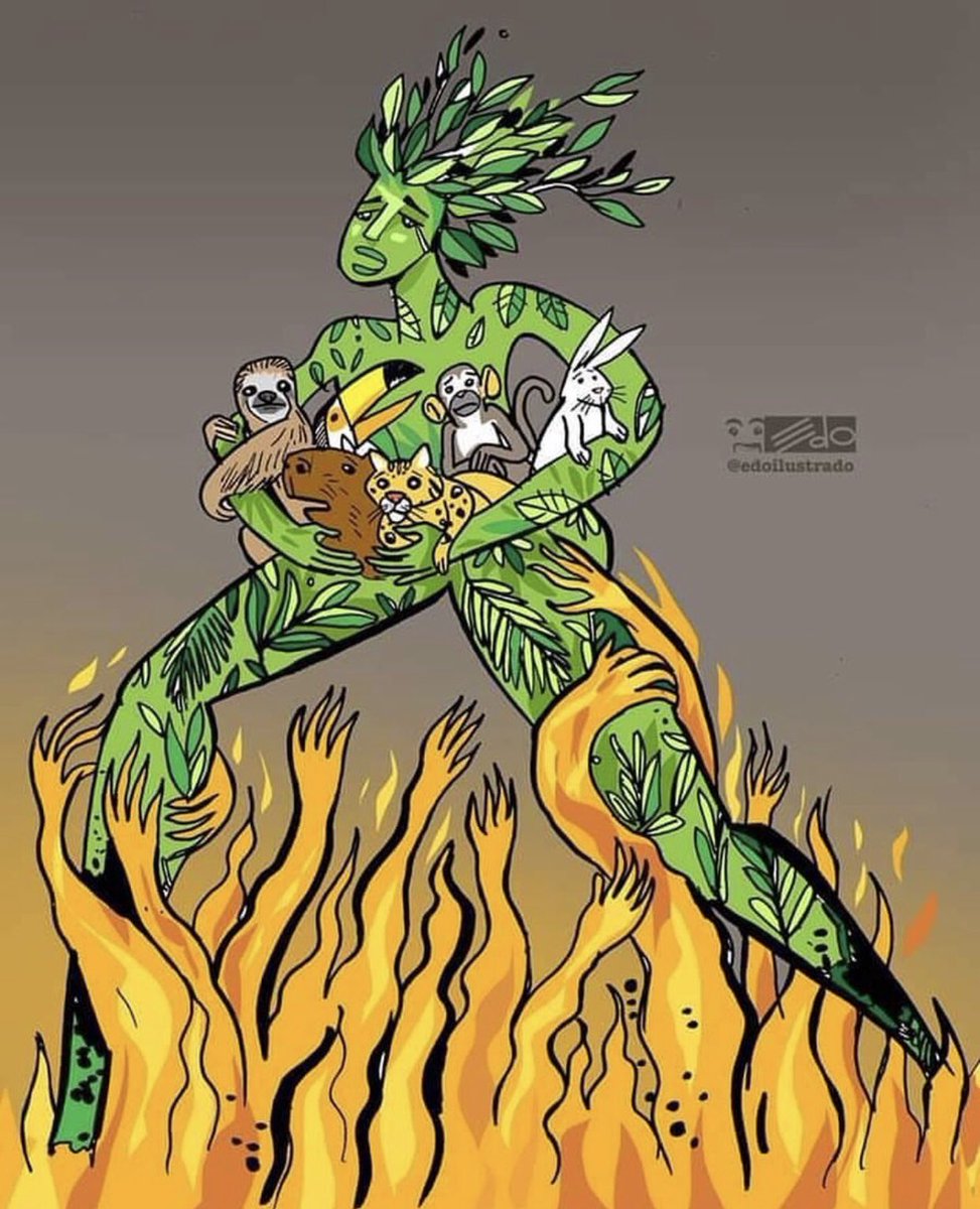 Jehro0's tweet photo. La Forêt Amazonienne en danger..

Les peuples solidaires ont le pouvoir de s'affranchir, de s'unir et de mettre en place une déclaration de "bien commun universel" pour la biosphère de leur planète..

https://t.co/02EyyzCNBO…/urgence-amazonie-stop-…/71433… https://t.co/UfqOoHDRqL