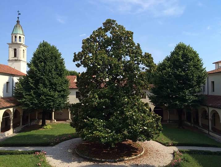 ConservatorioVi's tweet photo. La bellissima magnolia al centro del nostro chiostro... Stregati dal#Pedrollo! https://t.co/CTTMkk89WU