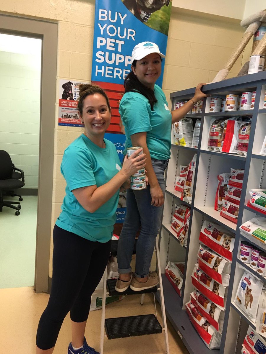MO_BOSTON's tweet photo. Our #MOcolleagues were proud to spend the day volunteering at MSPCA @nevinsfarm! The shelter in Methuen, MA helps provide adoption services for companion animals and farm animals. #MSPCA #Volunteers #volunteering #MOBoston #MOGivesBack #SummerStars https://t.co/19wUI2dG67