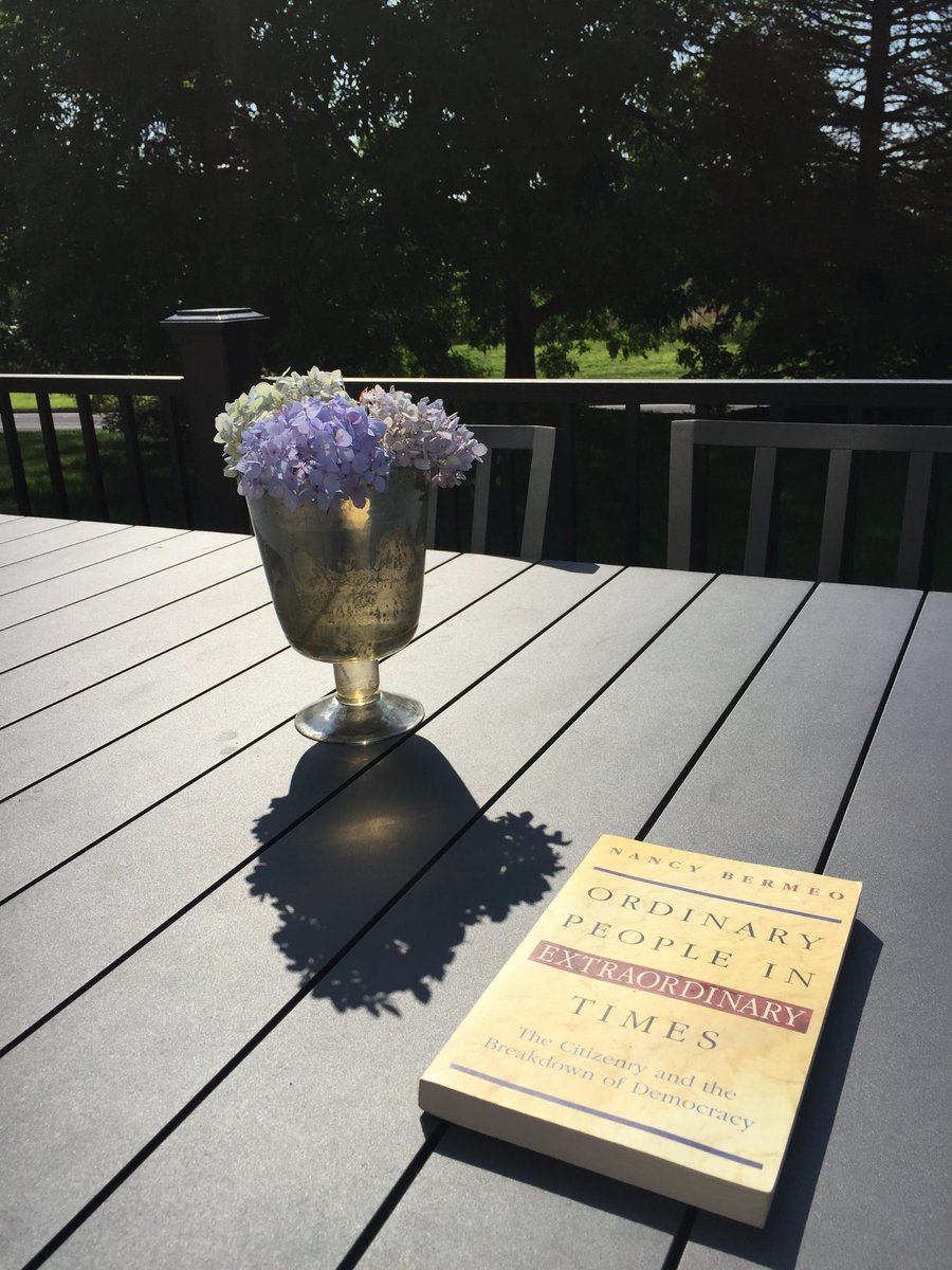 ProfAnkersen's tweet photo. @Sylvia_Maier @NYUCGA @CarolynKissane @amgoetz @nyuniversity @CarolGilligan1 @UptonOrwell @R_Thaler @CassSunstein From @marybethaltier comes today's #CGASummerReads suggestion & an idyllic photo:
Nancy Bermeo, Ordinary People in Extraordinary Times
The breakdown of #democracy is not driven by the public during times of economic and political crisis but rather by elites.
@NYUCGA Enjoy! https://t.co/Mk14NBWUqV