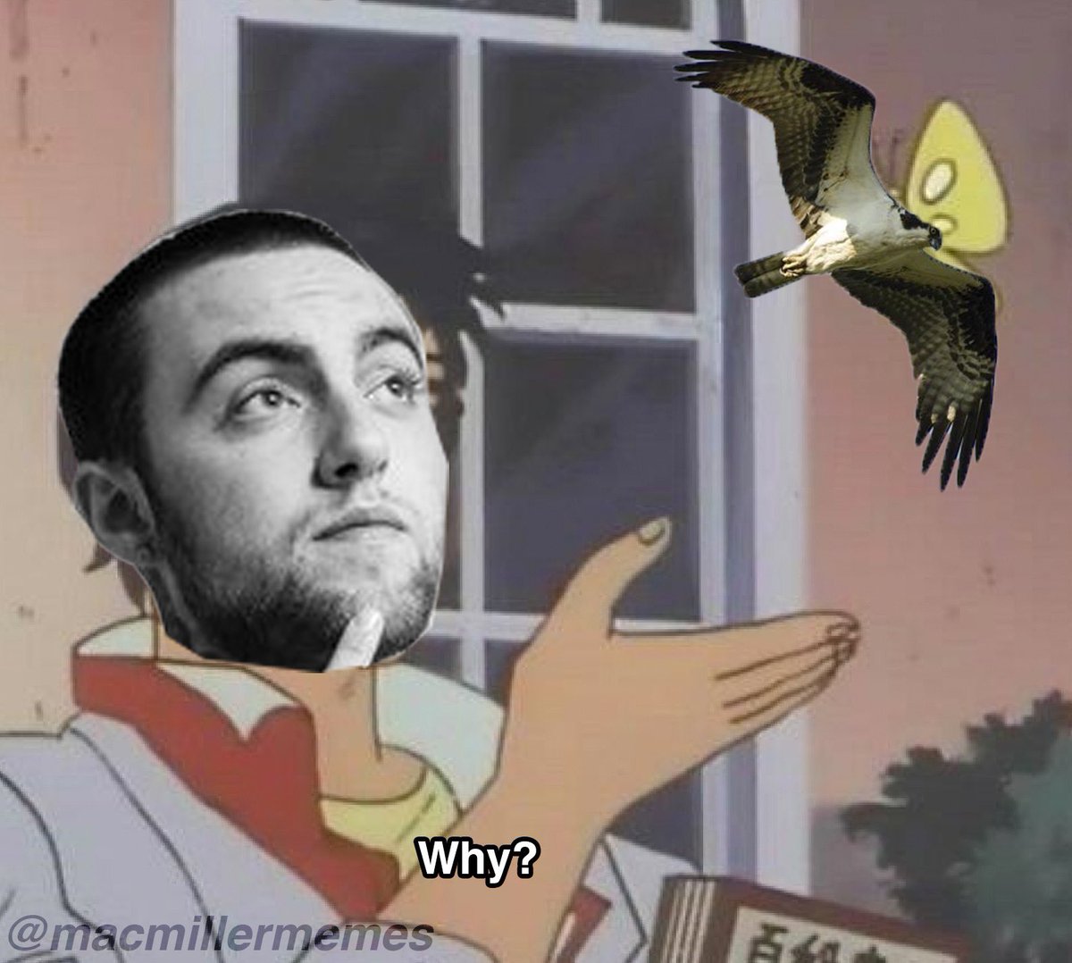 Mac Miller Memes On Twitter There S A Bird In The Sky Look At Him Fly. 