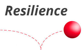 book Dez Anos no Brasil: Eleições sob Dom Pedro I, dissolução do Legislativo, que redundou