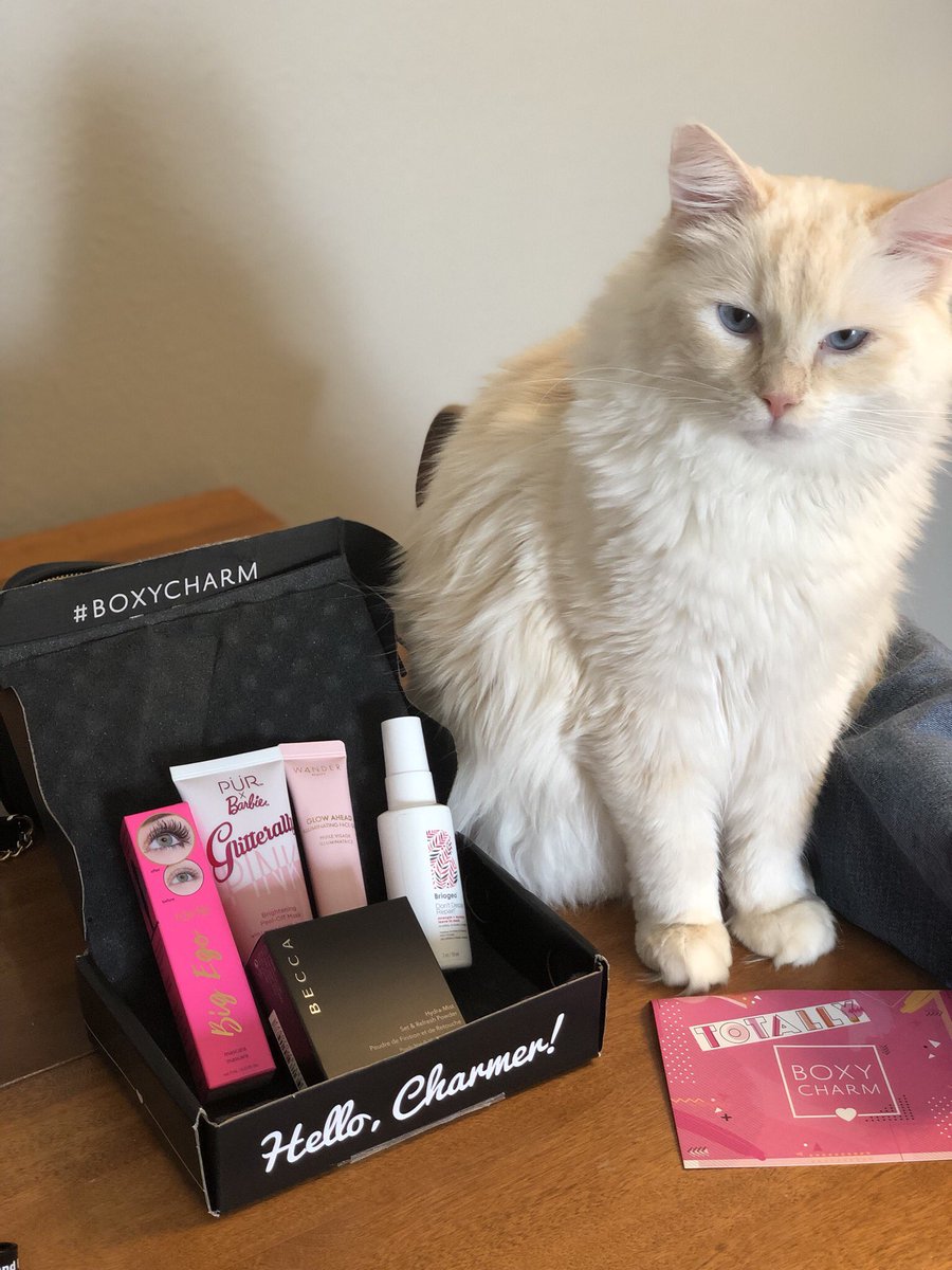 kaleighwiseley's tweet photo. @boxycharm #boxypets 🐱 https://t.co/HPhgkhjd7S