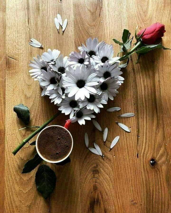 lXJlCfLBiuYrt7F's tweet photo. اﻟﺼﻤﺖ ﻫﻮ ﺍﻟﻤﺤﺎﻭﻟﻪ ﺍﻻﺧﻴﺮة....

ﻹﺧﺒﺎﺭﻫﻢ ﺑﻜﻞ ﺷﺊ ﻟﻢ ﻳﻔﻬﻤﻮﻩ ...

ﺣﻴﻦ ﻛﻨﺎ ﻧﺘﻜﻠﻢ. https://t.co/4Z7vHs1UF5