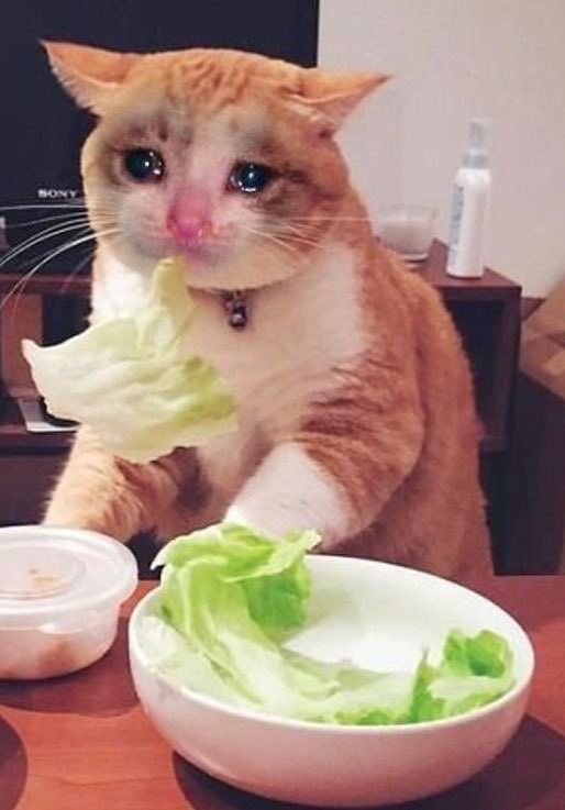 แม่บอกไม่ต้องเครียด ให้หางานที่ชอบ ทำงานไม่ตรงสายไม่เห็นเป็นไร ประเด็นคือไม่มีอะไรที่ชอบและลืมที่เรียนมาหมดแล้วเหมือนกัน