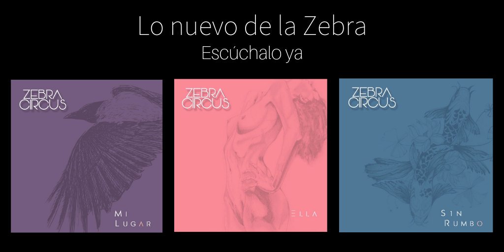 ZEBRA CIRCUS tweet media