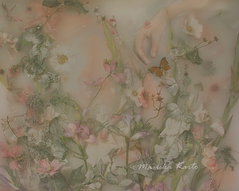 toiblarlos's tweet image. #BeautyInArt #Flowers #SoftColours  
#Garden of Eden. 
@xavierdaniel999 🙏💛😍🙏