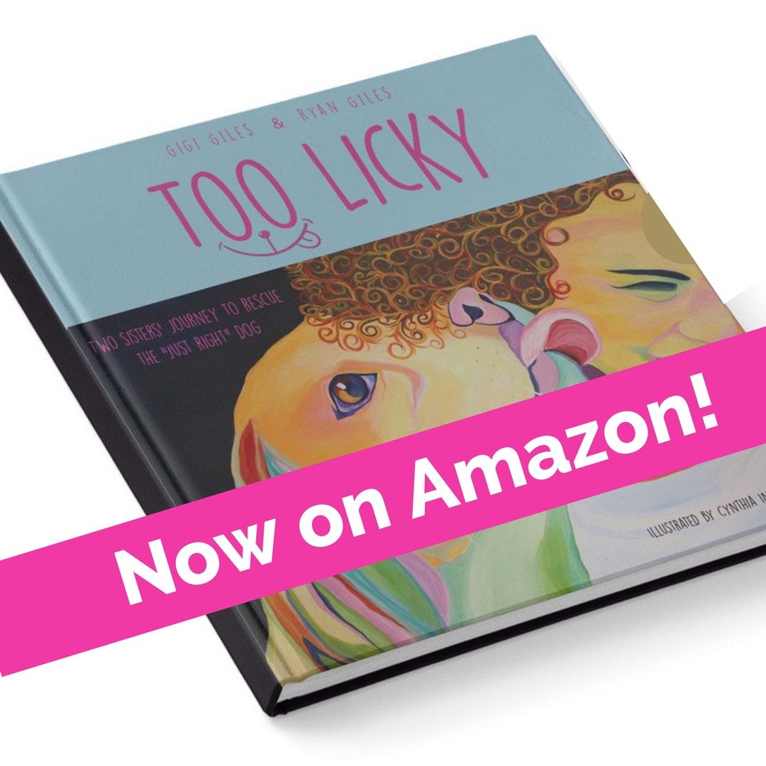 too_licky's tweet photo. #Sugar #TooLickybook #rescuedog #rescue #adoptadog #dogsarefamily #savealife #doglovers #theirlifematters #adoptdontshop https://t.co/Pf9mTS90Bb https://t.co/B62er0uWrW