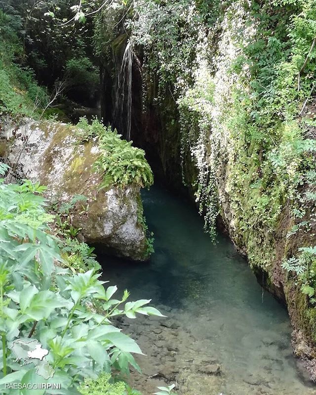 paesaggiirpini's tweet photo. ◦ https://t.co/ZoxTgw7Jdd
◦
✩ LOCATION : #Caposele - Fiume Sele
✩ PUBLISHED By @leo__1992 ------------------------------
Le sorgenti del Sele nascono alla quota di m. 420, nel Comune di Caposele, da una grande parete rocciosa calcarea sul fianco orientale del monte Paflago… https://t.co/d9pQ1dkxUH