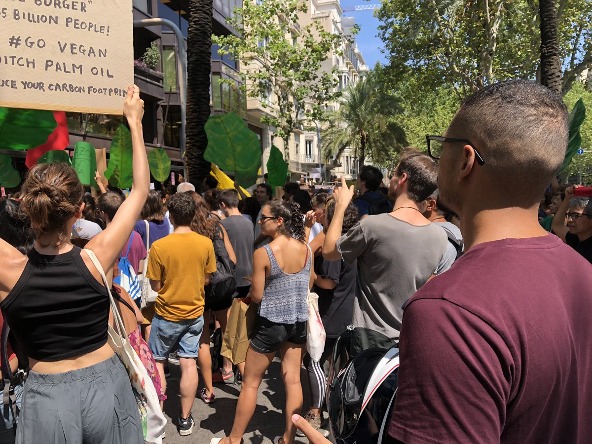 Oli_JPE's tweet photo. 16 días lleva quemándose el #Amazonas y apenas se le ha dado importancia
Por eso hoy he salido a la calle de nuevo a reivindicar la supervivencia de nuestro planeta. No hay otro! No se enteran o qué!?
No podemos permitir que sigan pasando cosas así!
#SaveTheAmazonas #SOSAmazonas https://t.co/NdHnjxFxMR