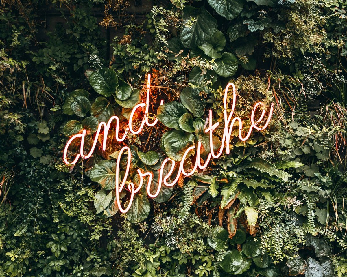 WordWellCreates's tweet photo. Business, like anything, ebbs and flows. Inhale the good, exhale the bad, and always keep your eyes ahead to what’s next! Happy Friday, everyone! https://t.co/dIUkyF2GZy