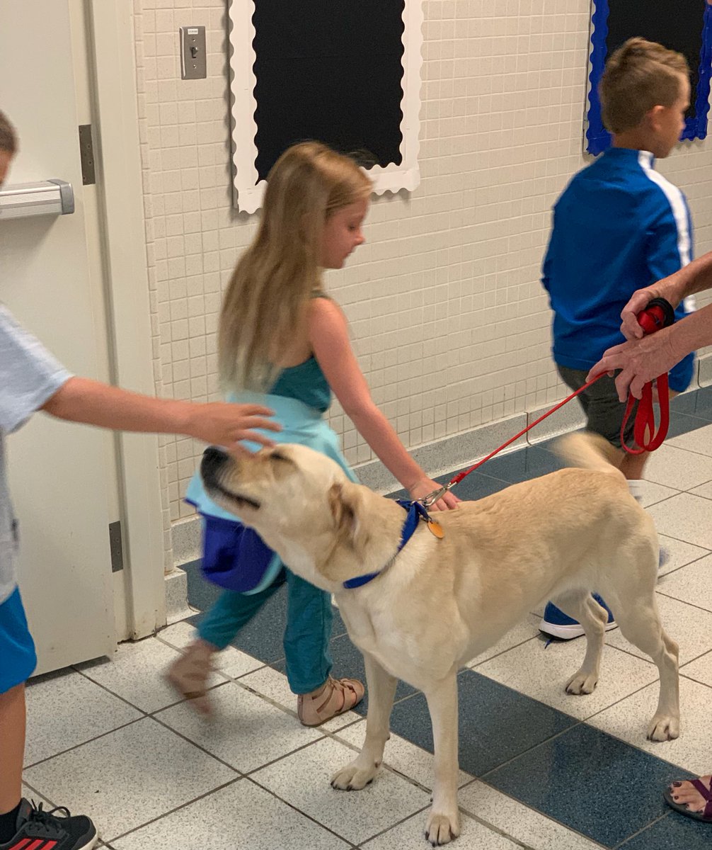 awlswa's tweet photo. Introducing our newest member of Waterville Primary, Teila! She is loved by many already (including Sara)! #FourLeggedGeneral https://t.co/3YXQjm2nl7