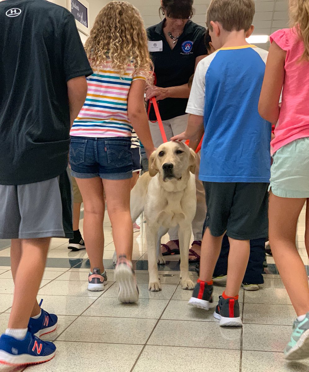 awlswa's tweet photo. Introducing our newest member of Waterville Primary, Teila! She is loved by many already (including Sara)! #FourLeggedGeneral https://t.co/3YXQjm2nl7
