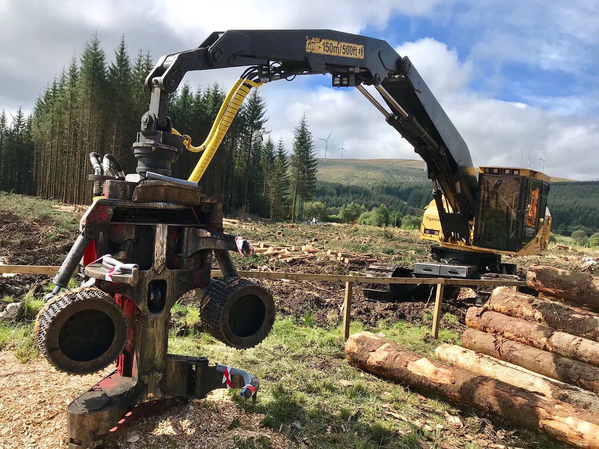 Mark Richardson 🇬🇧 tweet media