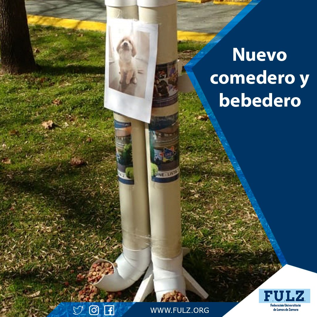laFULZ's tweet photo. Nuevo comedero y bebedero para nuestras #MascotasUniversitarias 🐕🐩🐈
📌 Nos alegra comunicarles que inauguramos el #Comedero y #Bebedero para los gatos y Perros universitarios que viven en nuestro hermoso campus de la Universidad Nacional de Lomas de Zamora.
#FULZ https://t.co/FYhACVxdzZ