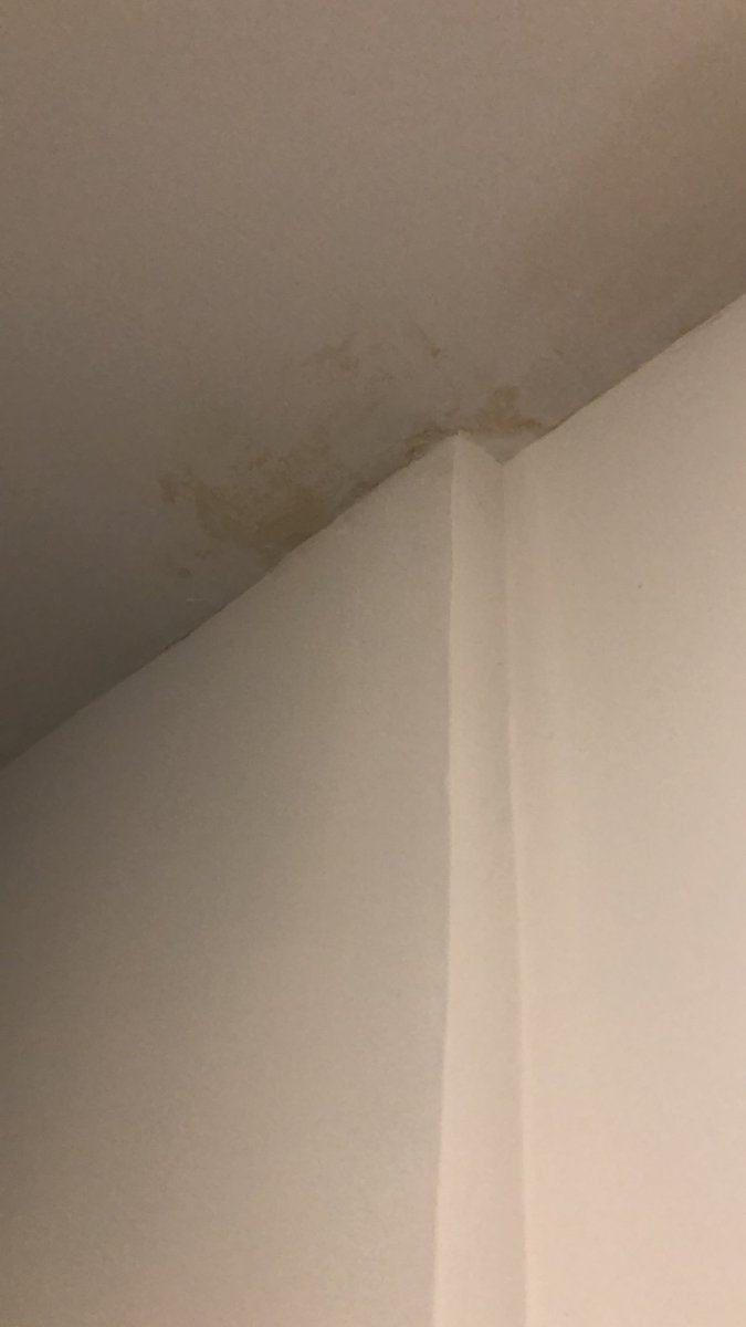 JavierDzJm's tweet photo. Caraduras @solvia_es teniendo sentencia de lanzamiento no ejecutáis por buena prensa y yo tengo que sufrir los daños por tercera vez. Y cada reparación tarda tiempo infinito de trámites 🔈 @ComunidadMadrid @Cs_Madrid @ppmadrid https://t.co/bJ7ZYOmCMW