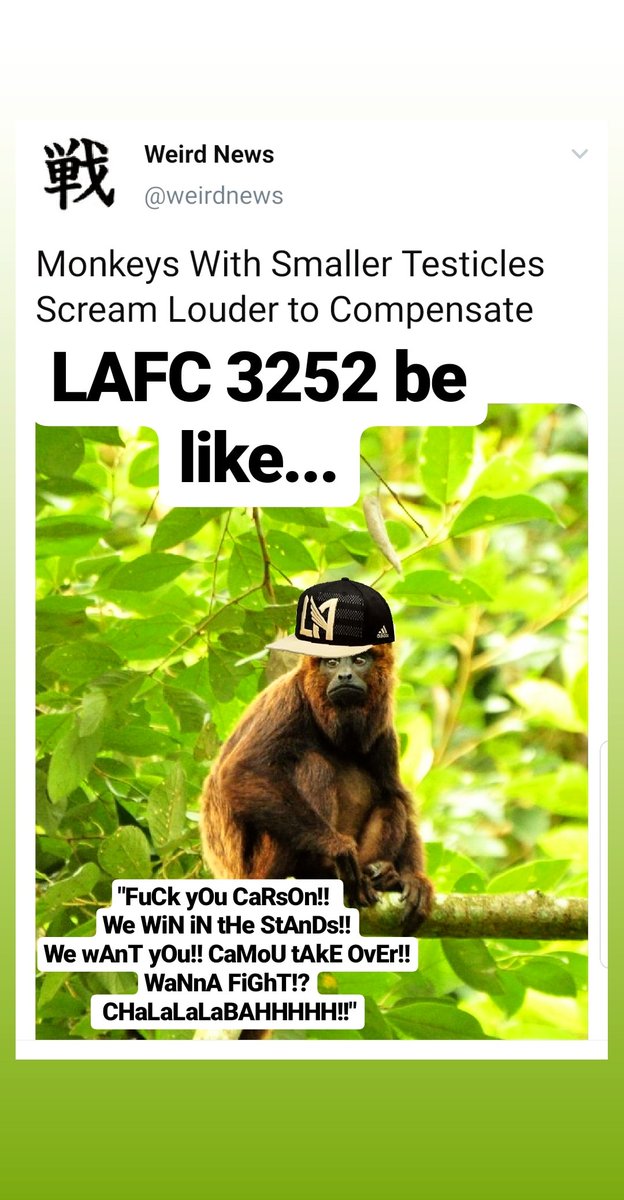 Nag_News's tweet photo. How DARE you insult monkeys!! #KeepOnNAGn #NAGsters #NAG #LAGalaxy #ThisIsLA #Since96 #MLS #SoccerForAll #ElTrafico #LAvLAFC #StillCantBeatUs #Lafc #LAFC3252 #shouldertoshoulder (to cry on) #BlackAndMold #BlackAndgold #WhackAndMold #ExPoOG 🤡
Bahhhhhhhhhhh🐐🐐🐐 https://t.co/16dfMXBjYE