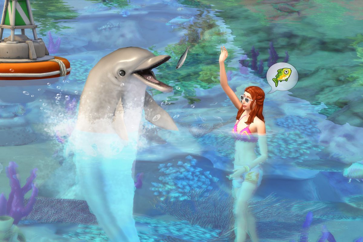 The Polygon Show tweet media