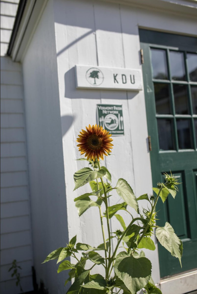 Volunteer cheer at the KDU.