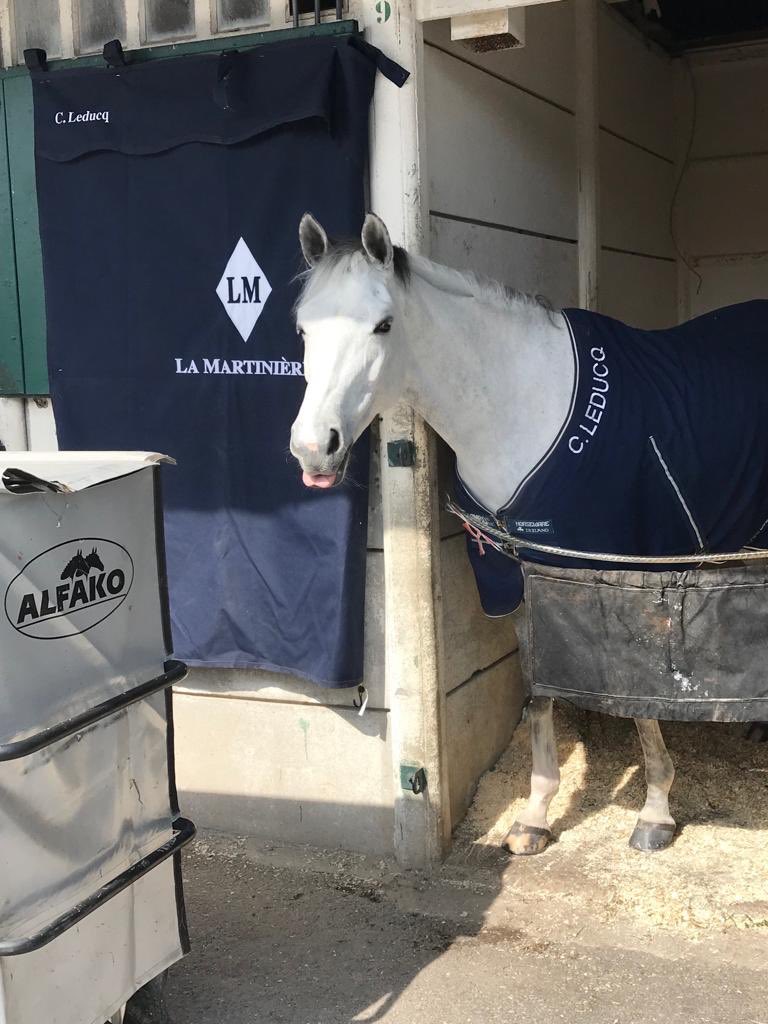 GeodeColigny's tweet image. Belle entame au Grand National de Compiegne : Traviata du Lesme et Coralie se classent dans la vitesse 1.25m 👏🏻