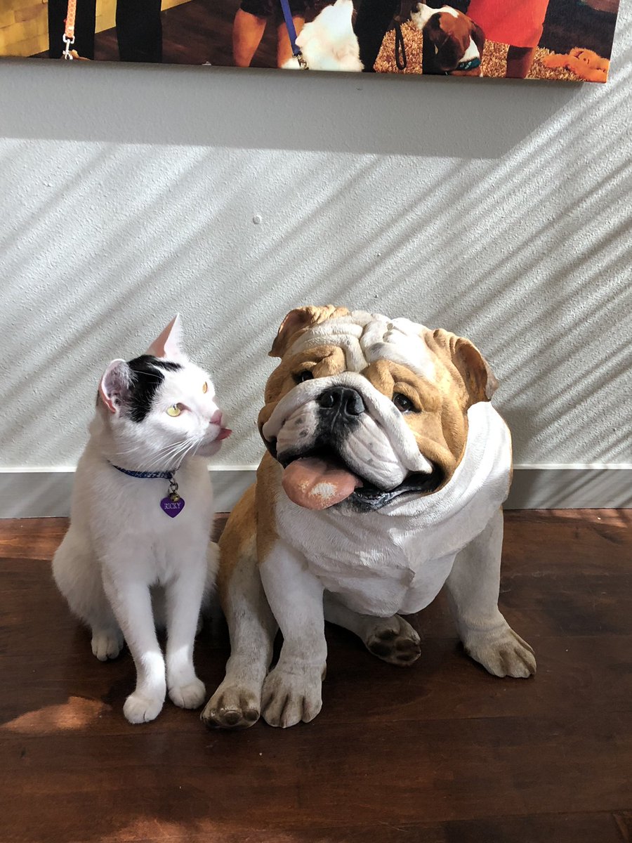 This is me saying goodbye to the dog days of Summer 😸