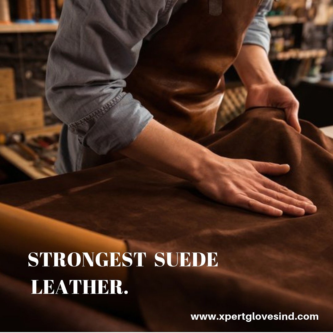 Xpert Gloves Ind tweet media