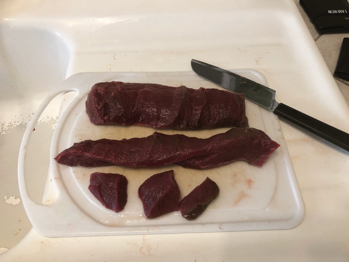 JMarkJohns's tweet photo. You can’t get it at Publix. You have to go get it old school and I wouldn’t want it any other way. @elusivewildlife #backstrapfever #stickandstring #weliveoutdoors https://t.co/fRlXbfJOh1