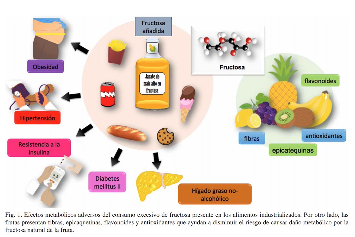 Que es la fructosa y donde se encuentra