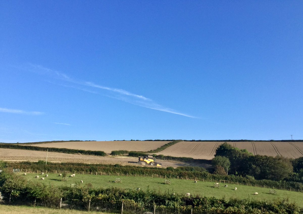 michellerybob's tweet photo. While not a farmer, I am incredibly lucky to live on a farm. The view from my garden is beautiful every day of the year, but none so awesome as when there’s a combine outside! #harvest #devonfarms #farming #farmappreciation #LoveWhereYouLive https://t.co/O0N0a1ovPN