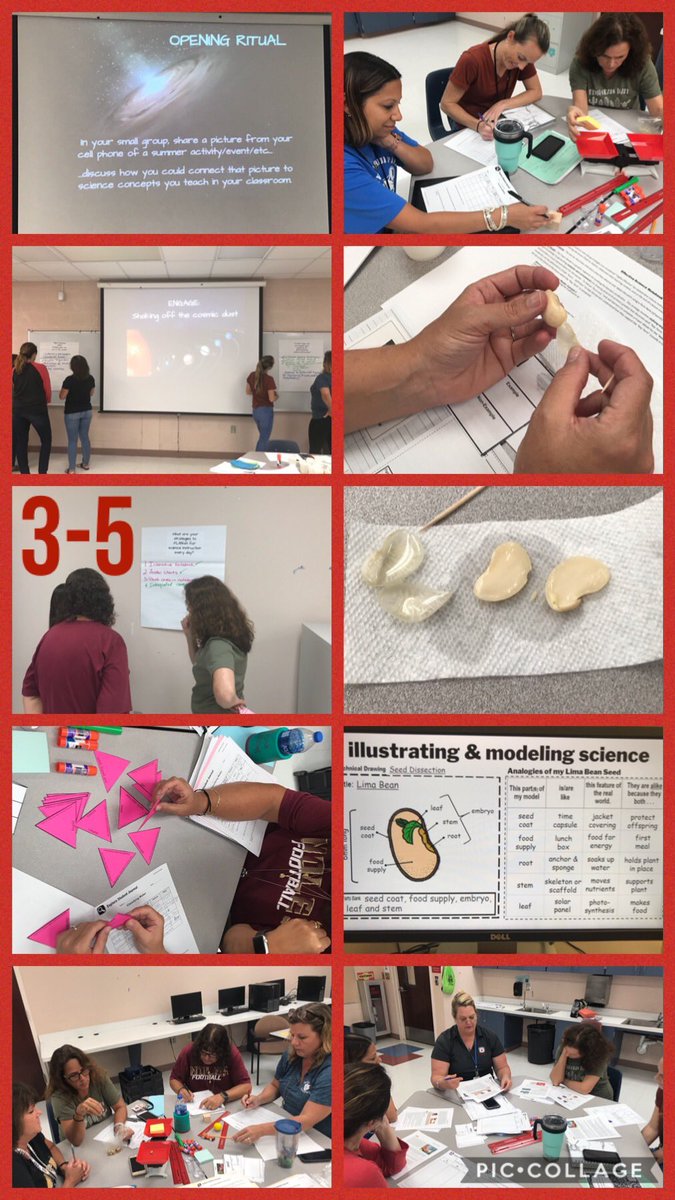 Crissy Tabachnick tweet media