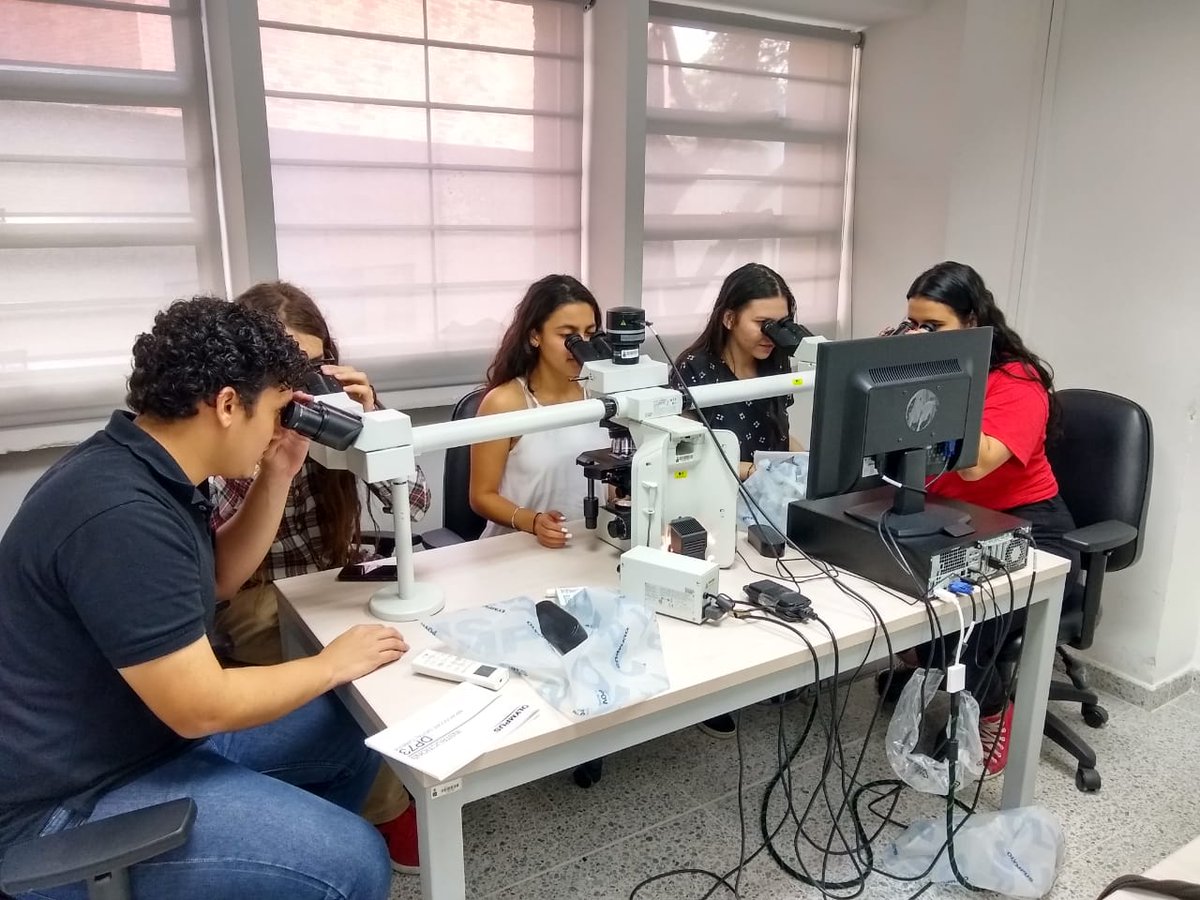 Esc Ing.Sistemas UIS tweet media