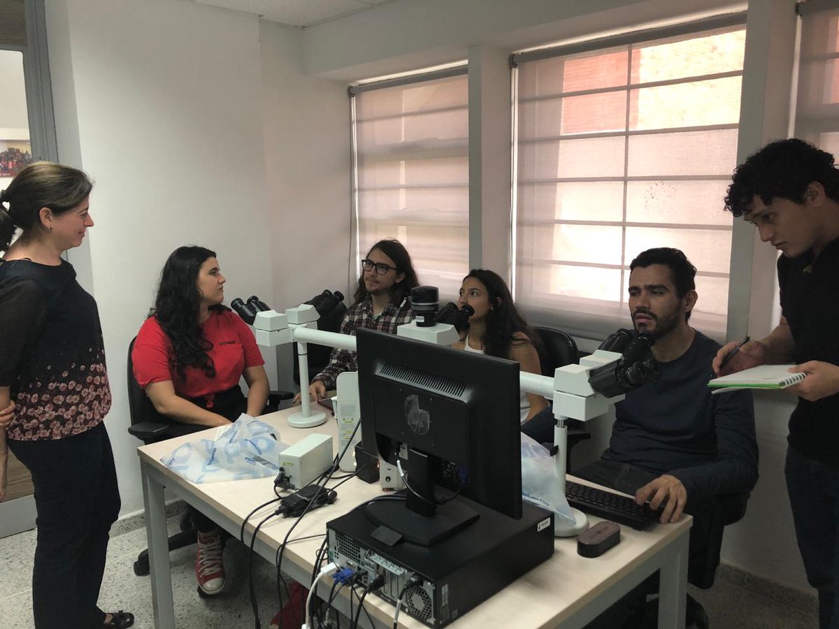 Esc Ing.Sistemas UIS tweet media