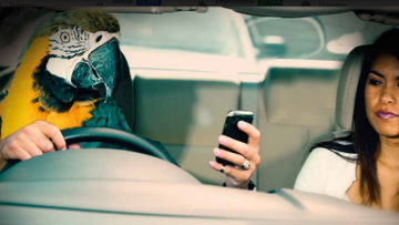 Using your phone whilst driving can lead to an instant ban if you're a new driver. Help keep the roads a safer place and put your phone away. #HonestTruthUK #SmallChangesSaveLives