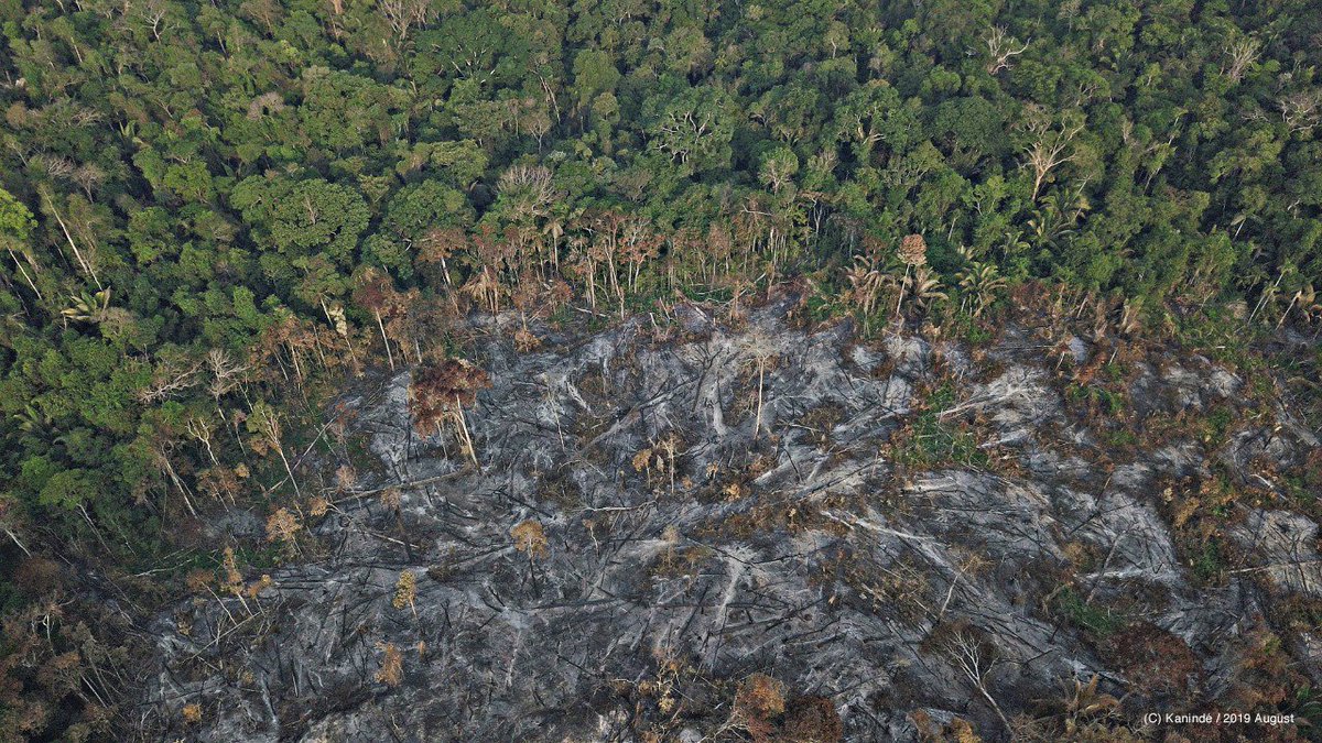 The #AmazonRainforest is burning. 73,000 fires have been recorded this year - 70% more than in the same period in 2018. The fires are linked to deforestation. This is a global crisis. Find out what you can do to help. 
go.panda.org/amazon-appeal #ActForAmazonia