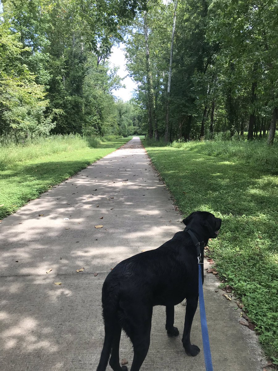 TeddyTedBear1's tweet photo. I have a HAPPY FRI-YAY so far.  Weather is PAWSOME, so mom let us have extended time at 🐕 park! ❤️🐾 #LivePDday #dogsoftwitter https://t.co/wvC3wn0D11