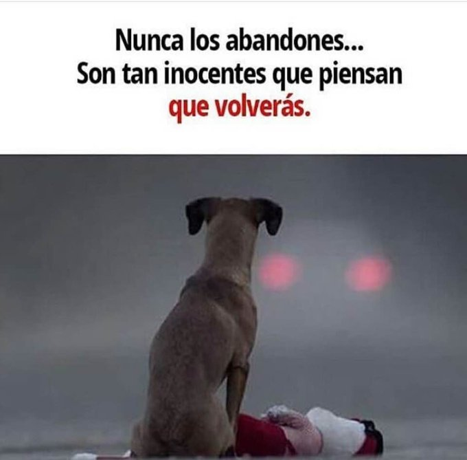 Norys Acosta C tweet media