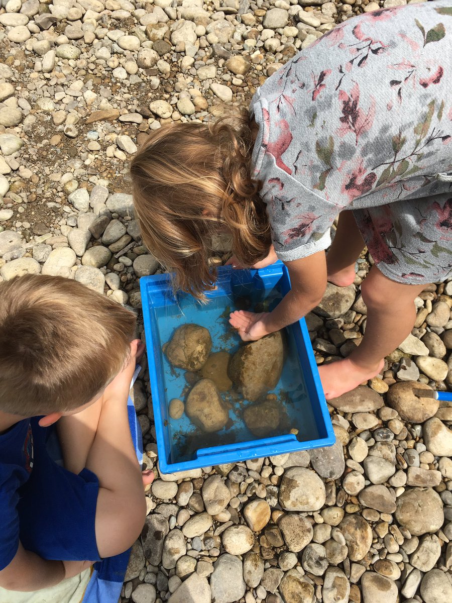 jcharnishcurrie's tweet photo. Hard to believe another summer with these two is winding down...making the most of Mommy’s Friday off exploring and meditating down by the creek. #appsmill #natureday #lovethesetwo https://t.co/NpVJx9Pz6l