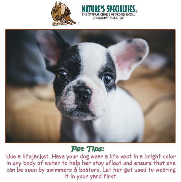 See our Products: naturesspecialtiesmfg.com 
#NaturesSpecialties #PetProducts #PetCare #Pets #PetSupplies #Groomers #PetFacts #FunFacts #PetTips