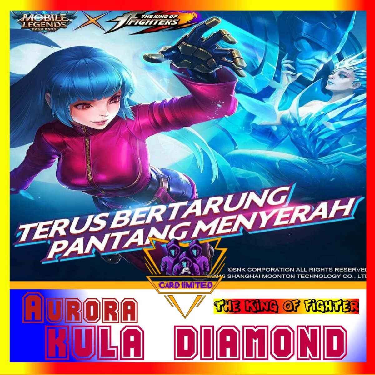 Card Limited tweet media