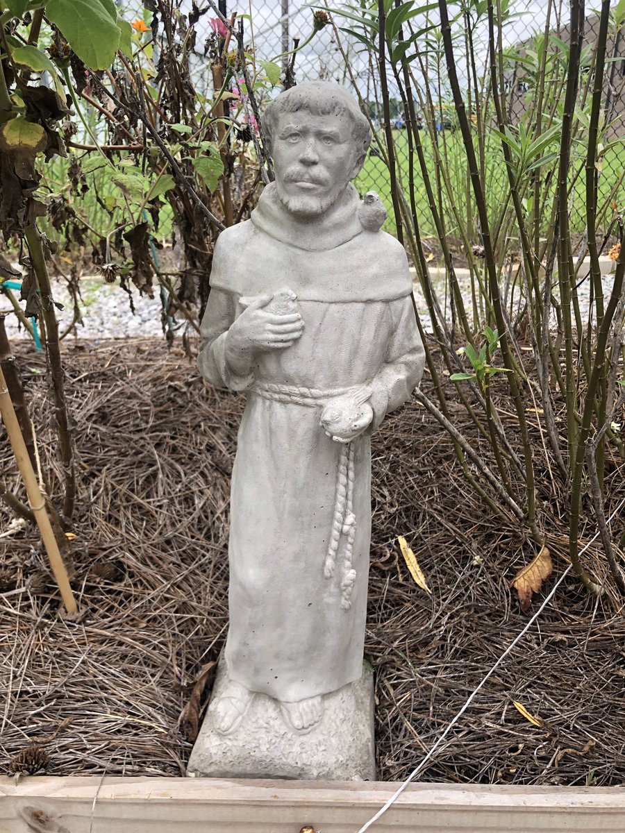 STMEnvScience's tweet photo. #ICanEnvisionMore with St Francis of Assisi and 6th period in the butterfly garden #STMChapel https://t.co/R7DdjoHLnH