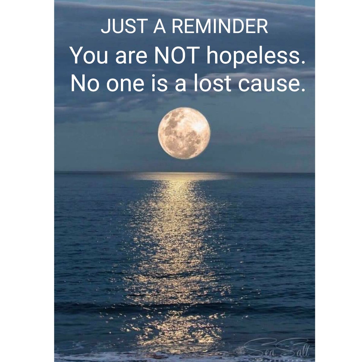 2wingsup's tweet photo. If ever in doubt, here is a reminder. You are NOT hopeless. No one is ever a lost cause. 
Live. Learn. Grow &amp; Fly  🦋
Kathy the IronButterfly
#ironbutterflywisdom #2wingsup https://t.co/AscnAeoRFp