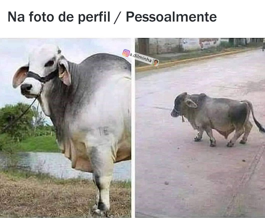 culturacaipira's tweet photo. Ocê cunhece alguém assim?!? Marca aí modi nóis sabê tamém...
#culturacaipira #culturabrasileira #caipira #rural #interior #dointerior #mídiassociais #digitalinfluencer #tinder #contatinho #crush https://t.co/pJ8VWQ31WI
