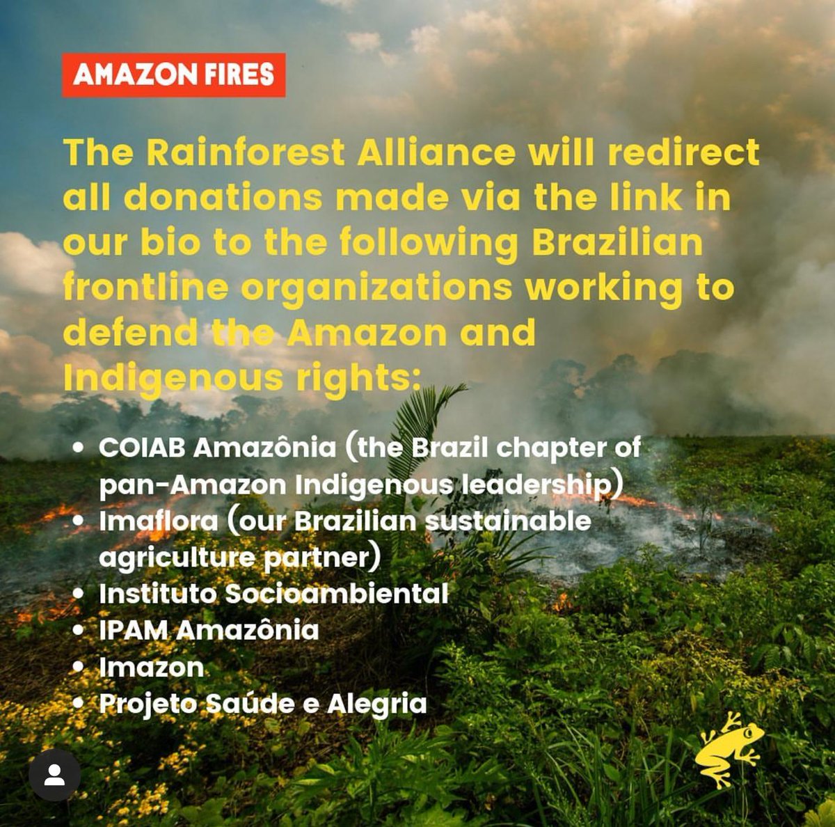 SaraGolish's tweet photo. I just made a gift to @RnfrstAlliance for forests, wildlife &amp; the future health of our planet. Will you join me? https://t.co/H5pw5sKIF8 https://t.co/V2FFbxmpdL