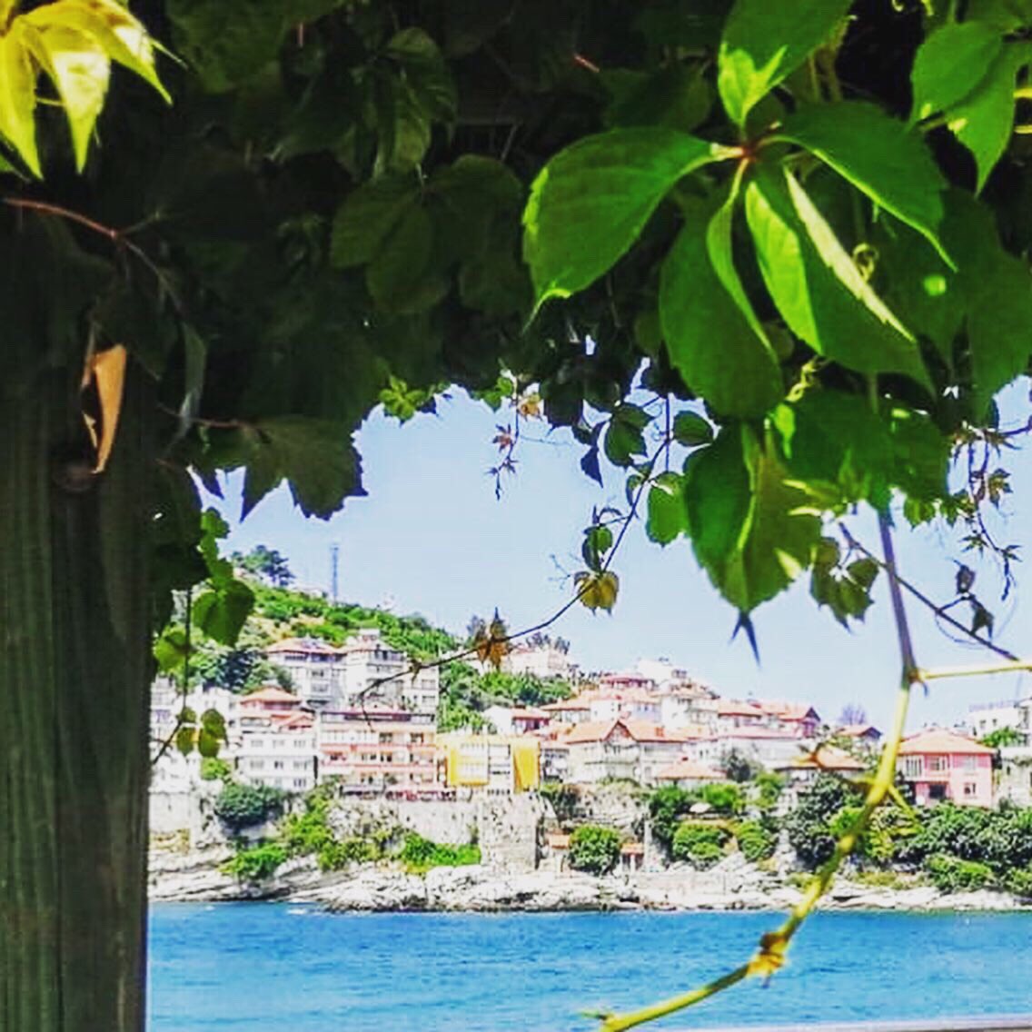 CaddeBu's tweet photo. Bartın üniversite’mize kayıt yapmaya  gelen öğrencilerimiz, sakına güzide ilçemiz Amasra’yı ailenize gezdirmeden gitmeyiniz 😊 #bartınüniversitesi #bartın #amasra https://t.co/Vvz4HR2keI